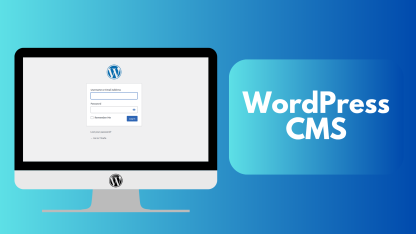 How to Check Your WordPress Version?